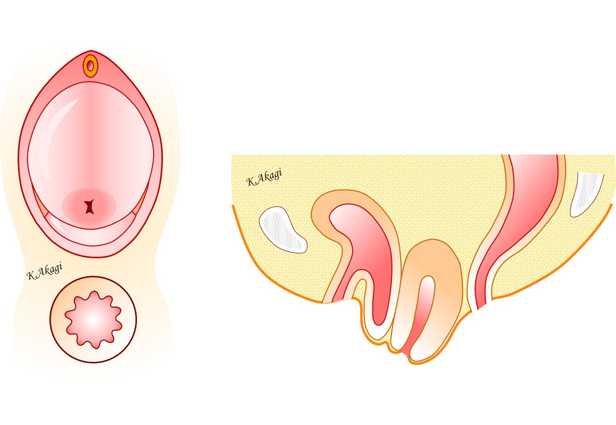 Manopla ゲーム Corneta Pcソフト Corta Cordon Negro Negro Bka 新作製品 世界最高品質人気 正規品送料無料 100 品質保証 激安超特価